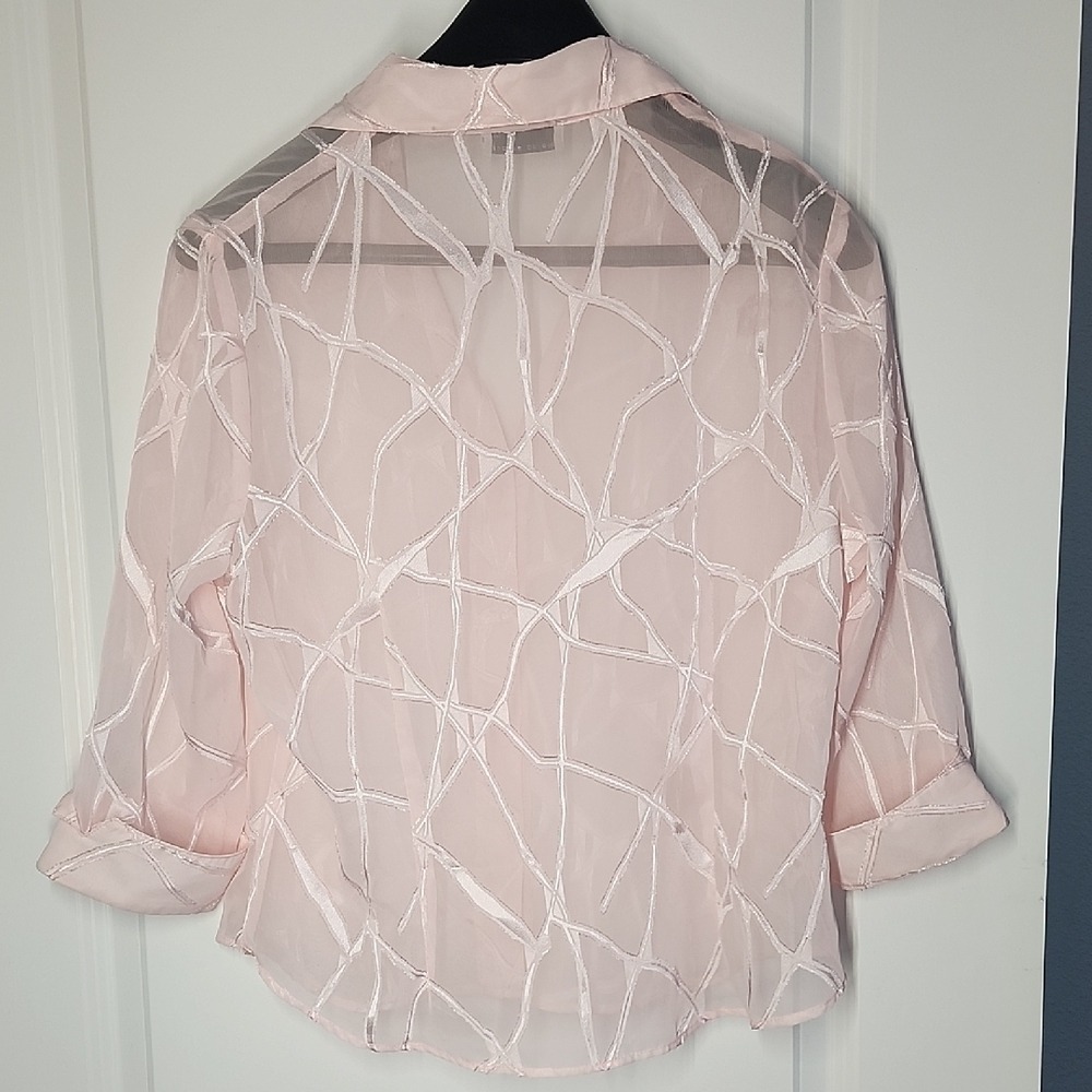 C.B. Collections Petite Chic Sheer Pink Button Down Shirt - Picture 7 of 7